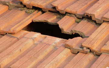 roof repair Walcot