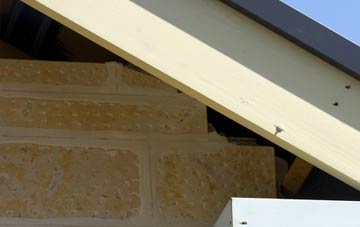 soffit repair Walcot